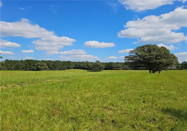 Photo 4 of Land for sale at 27660 La 441 Hwy, Holden, LA 70744 | MLS# 2578456 | Listing updated on 2026-09-29