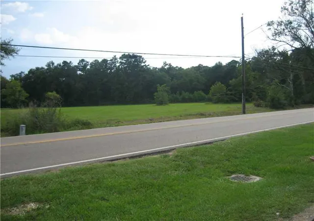 Homes for sale in Tickfaw, LA | Hwy 442 Hwy, Tickfaw, LA 70466 | MLS# 965160