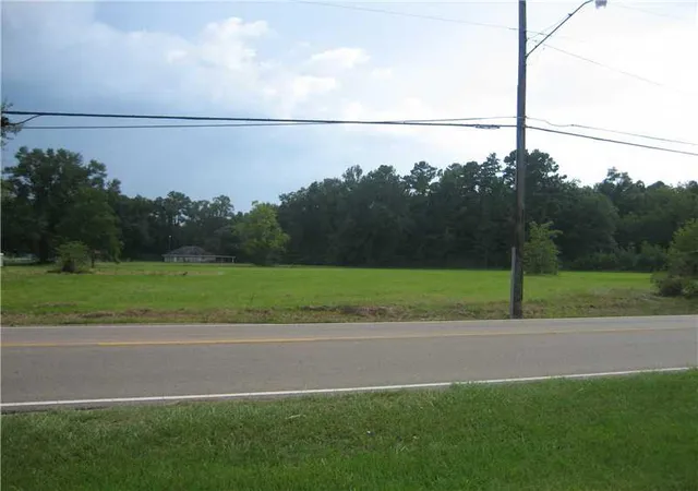 Homes for sale in Tickfaw, LA | Hwy 442 Hwy, Tickfaw, LA 70466 | MLS# 965160