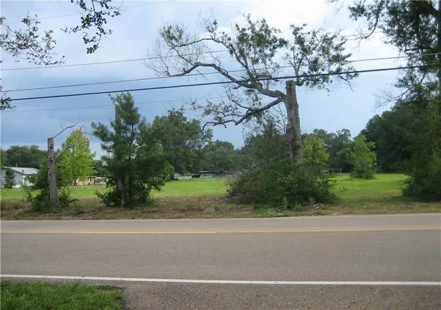 Homes for sale in Tickfaw, LA | Hwy 442 Hwy, Tickfaw, LA 70466 | MLS# 965160