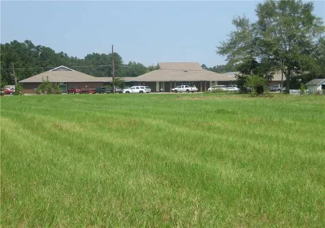 Homes for sale in Tickfaw, LA | Hwy 442 Hwy, Tickfaw, LA 70466 | MLS# 965160