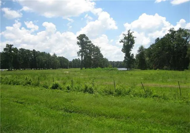 Homes for sale in Tickfaw, LA | Hwy 442/i 55 Hwy, Tickfaw, LA 70466 | MLS# 2000452