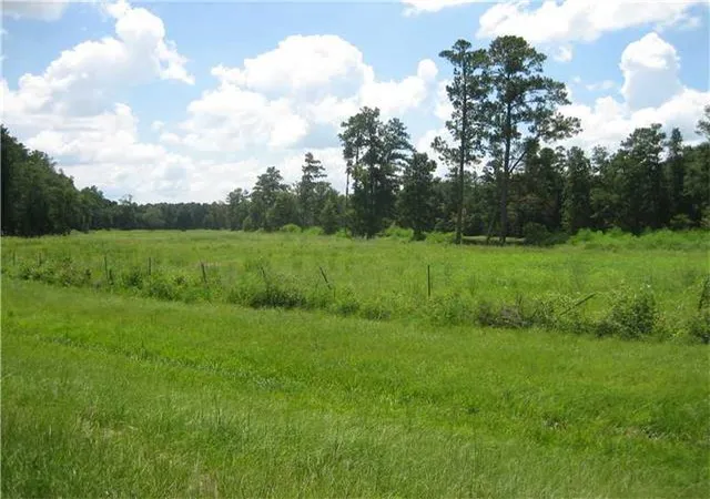 Homes for sale in Tickfaw, LA | Hwy 442/i 55 Hwy, Tickfaw, LA 70466 | MLS# 2000452