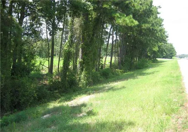 Homes for sale in Tickfaw, LA | Hwy 442/I-55 Hwy, Tickfaw, LA 70466 | MLS# 2000452
