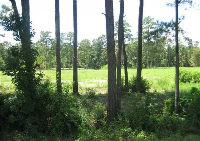 Homes for sale in Tickfaw, LA | Hwy 442/I-55 Hwy, Tickfaw, LA 70466 | MLS# 2000452