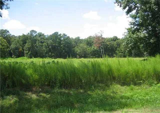 Homes for sale in Tickfaw, LA | Hwy 442/I-55 Hwy, Tickfaw, LA 70466 | MLS# 2000452