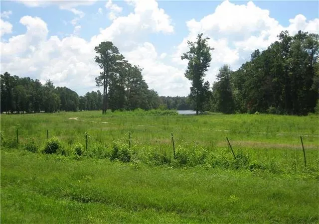 Homes for sale in Tickfaw, LA | Hwy 442/i 55 Hwy, Tickfaw, LA 70466 | MLS# 2000452