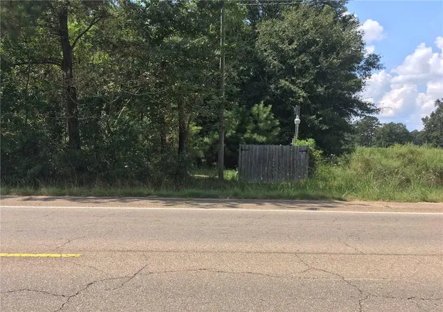 Homes for sale in Independence, LA | Hwy 51 Hwy, Independence, LA 70443 | MLS# 858323