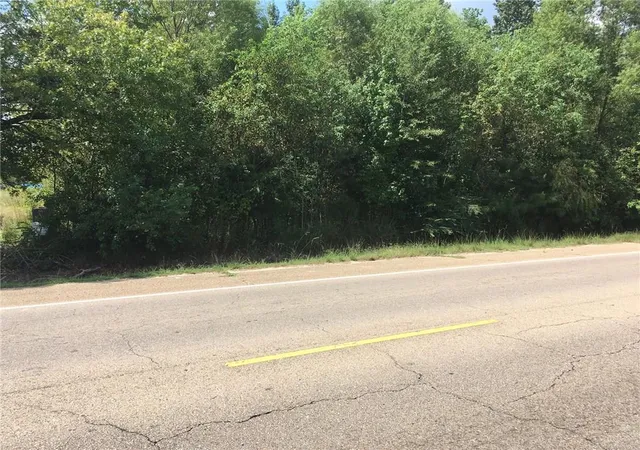 Homes for sale in Independence, LA | Hwy 51 Hwy, Independence, LA 70443 | MLS# 858323