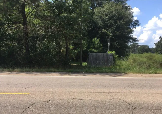 Homes for sale in Independence, LA | Hwy 51 Hwy, Independence, LA 70443 | MLS# 858323