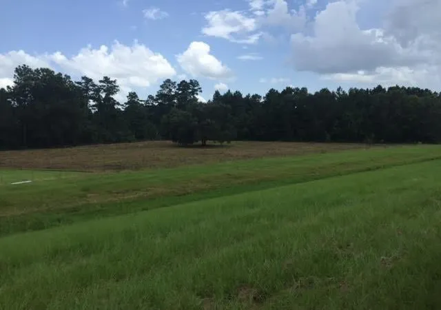 Photo 3 of Land for sale at 45519 Puma Dr, Hammond, LA 70401 | MLS# 2067880 | Listing updated on 2026-07-15