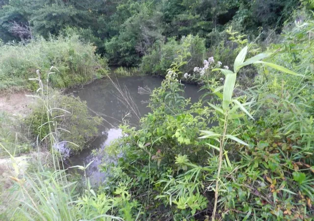Photo 2 of Land for sale at (Undisclosed), Bush, LA 70431 | MLS# 2141417 | Listing updated on 2026-04-12