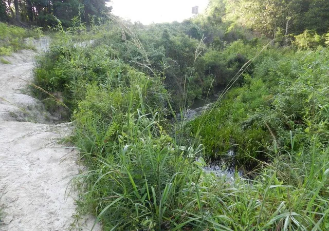 Photo 2 of Land for sale at (Undisclosed), Bush, LA 70431 | MLS# 2141417 | Listing updated on 2026-04-12