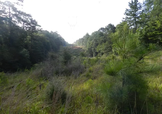 Photo 3 of Land for sale at (Undisclosed), Bush, LA 70431 | MLS# 2141417 | Listing updated on 2026-04-12