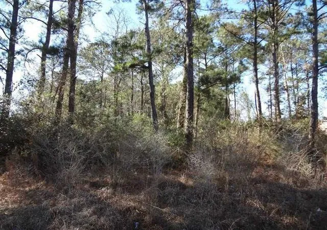 Photo 2 of Land for sale at Amber St, Slidell, LA 70461 | MLS# 2209024 | Listing updated on 2026-05-17