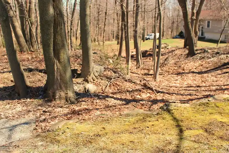 Photo 3 of Land for sale at 556 Glen Rd, Sparta, NJ 07871 | MLS# 3295138 | Listing updated on 2026-01-01