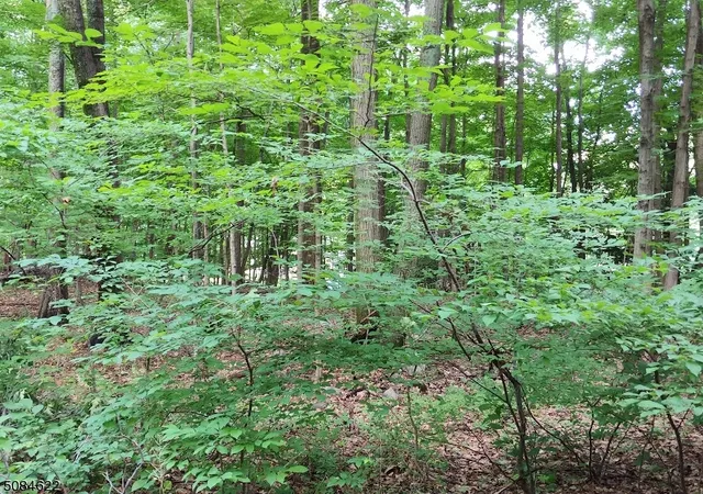 Photo 3 of Land for sale at 208 Highland Ave, Newton, NJ 07860 | MLS# 3723989 | Listing updated on 2026-07-27