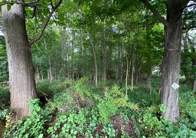 Photo 2 of Land for sale at L1101 Fairfield Ave, West Caldwell, NJ 07006 | MLS# 3909449 | Listing updated on 2026-05-18