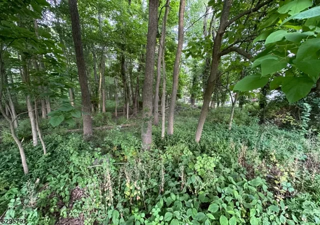 Photo 3 of Land for sale at L1101 Fairfield Ave, West Caldwell, NJ 07006 | MLS# 3909449 | Listing updated on 2026-05-18