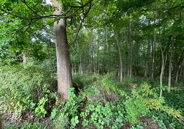 Photo 4 of Land for sale at L1101 Fairfield Ave, West Caldwell, NJ 07006 | MLS# 3909449 | Listing updated on 2026-05-18