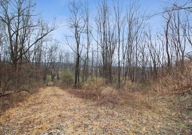 Photo 2 of Land for sale at 159 Alphano Rd, Great Meadows, NJ 07838 | MLS# 3955394 | Listing updated on 2026-06-11