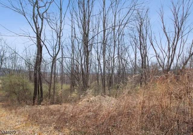 Photo 3 of Land for sale at 159 Alphano Rd, Great Meadows, NJ 07838 | MLS# 3955394 | Listing updated on 2026-06-11