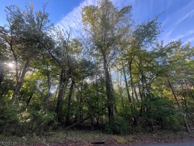 2nd image of 27 Elm Ave, Warren, NJ 07059 | MLS# 3989829