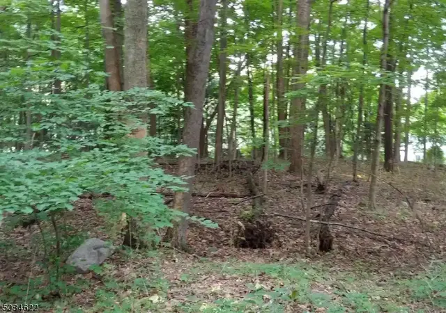 Photo 1 of Land for sale at 208 Highland Ave, Newton, NJ 07860 | MLS# 3723989 | Listing updated on 2026-07-27