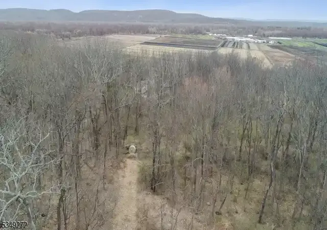 Photo 1 of Land for sale at 159 Alphano Rd, Great Meadows, NJ 07838 | MLS# 3955394 | Listing updated on 2026-06-11