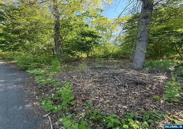 2nd image of 25 Budd Ave, Budd Lake, NJ 07828 | MLS# 26016747