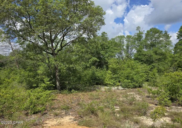 Homes for sale in Chipley, FL | Lot 7 Caldwell Pl, Chipley, FL 32428 | MLS# 775646