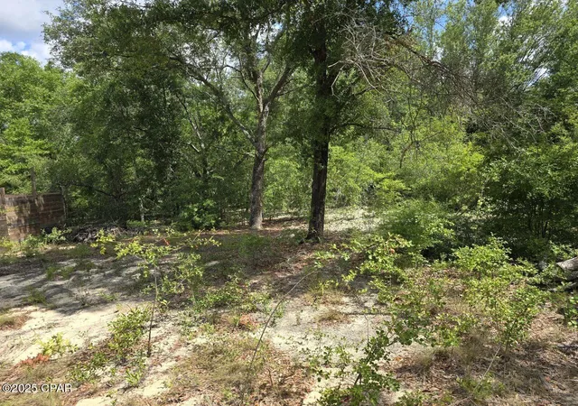 Homes for sale in Chipley, FL | Lot 7 Caldwell Pl, Chipley, FL 32428 | MLS# 775646