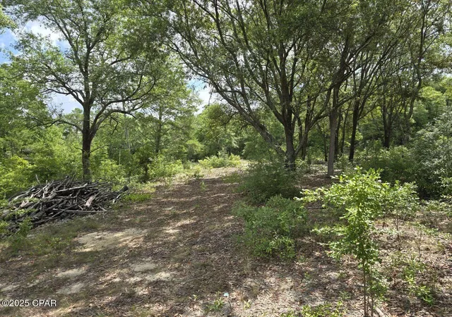 Homes for sale in Chipley, FL | Lot 7 Caldwell Pl, Chipley, FL 32428 | MLS# 775646