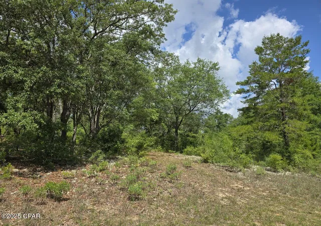 Homes for sale in Chipley, FL | Lot 7 Caldwell Pl, Chipley, FL 32428 | MLS# 775646