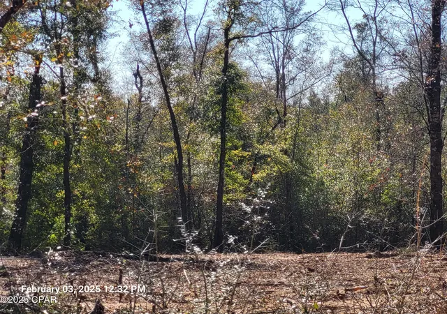 24th image of 00 Tommy Tucker Rd #Lot 3, Altha, FL 32421 | MLS# 751461