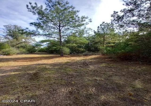 27th image of 00 Tommy Tucker Rd #Lot 2, Altha, FL 32421 | MLS# 751314