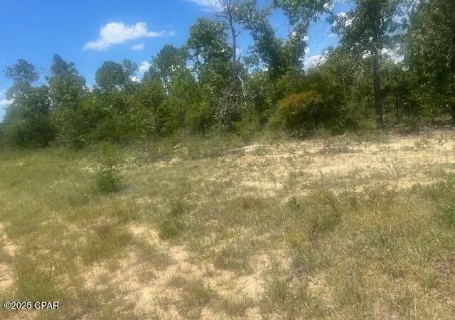 1st image of Tbd Cachet Ct #9, Chipley, FL 32428 | MLS# 776128
