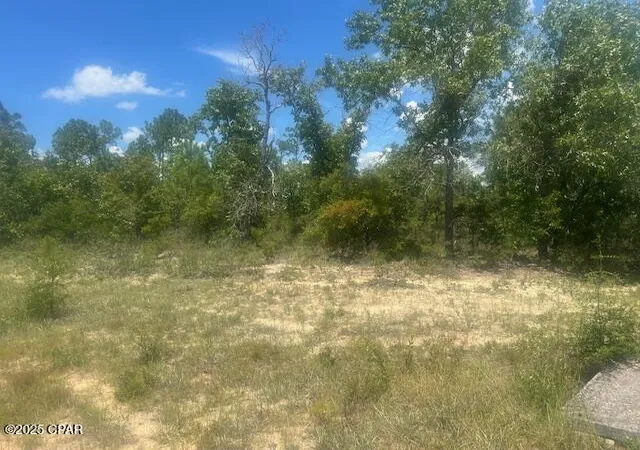 3rd image of Tbd Cachet Ct #9, Chipley, FL 32428 | MLS# 776128