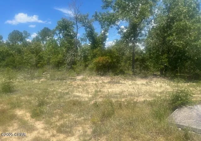 4th image of Tbd Cachet Ct #9, Chipley, FL 32428 | MLS# 776128