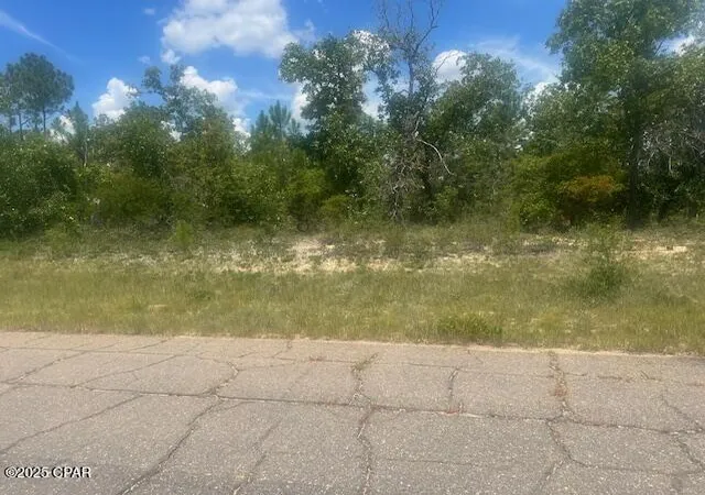 5th image of Tbd Cachet Ct #9, Chipley, FL 32428 | MLS# 776128