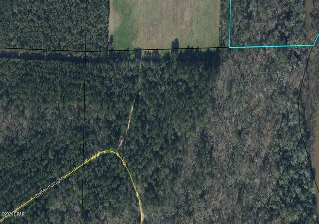 Homes for sale in Westville, FL | 00 Baker Landing Ln, Westville, FL 32464 | MLS# 754861