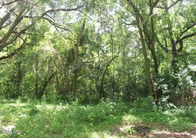 7th image of 1405 Sw 22nd Pl, Gainesville, FL 32608 | MLS# 759363