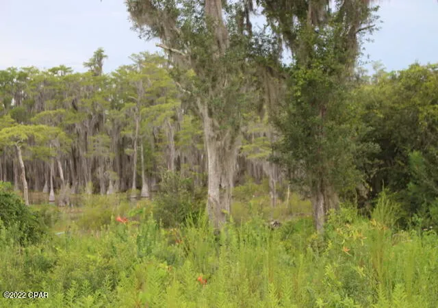 1st image of 21558 Nw Lake Mckenzie Blvd, Altha, FL 32421 | MLS# 730973