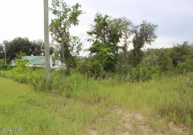 2nd image of 21558 Nw Lake Mckenzie Blvd, Altha, FL 32421 | MLS# 730973