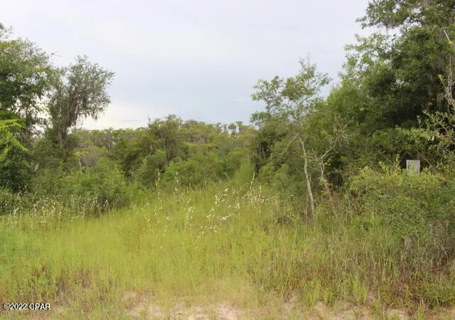 3rd image of 21558 Nw Lake Mckenzie Blvd, Altha, FL 32421 | MLS# 730973