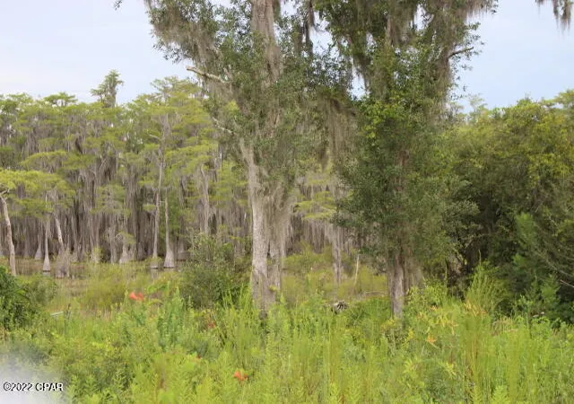 5th image of 21558 Nw Lake Mckenzie Blvd, Altha, FL 32421 | MLS# 730973