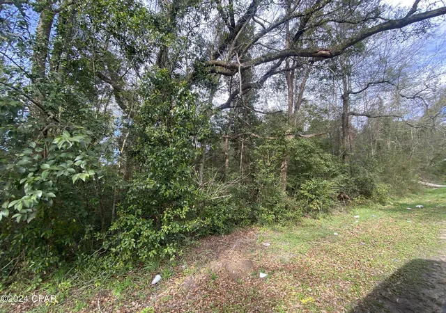 1st image of 0 Old Cottondale Rd, Marianna, FL 32448 | MLS# 753879