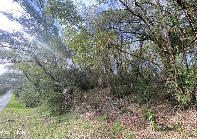4th image of 0 Old Cottondale Rd, Marianna, FL 32448 | MLS# 753879