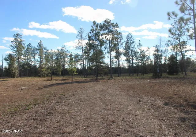 2nd image of 5015 Nw County Road 274, Altha, FL 32421 | MLS# 752699