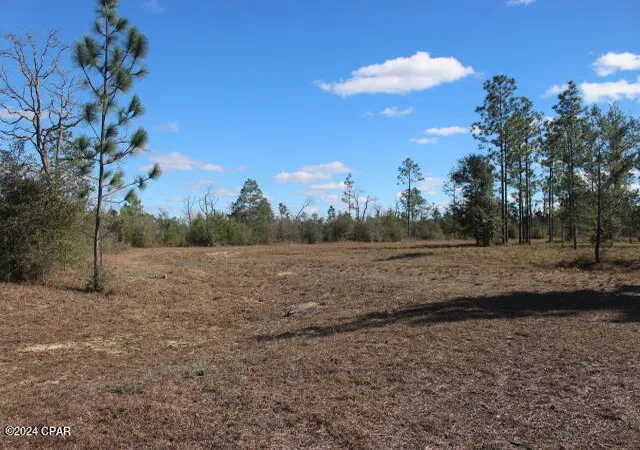 3rd image of 5015 Nw County Road 274, Altha, FL 32421 | MLS# 752699